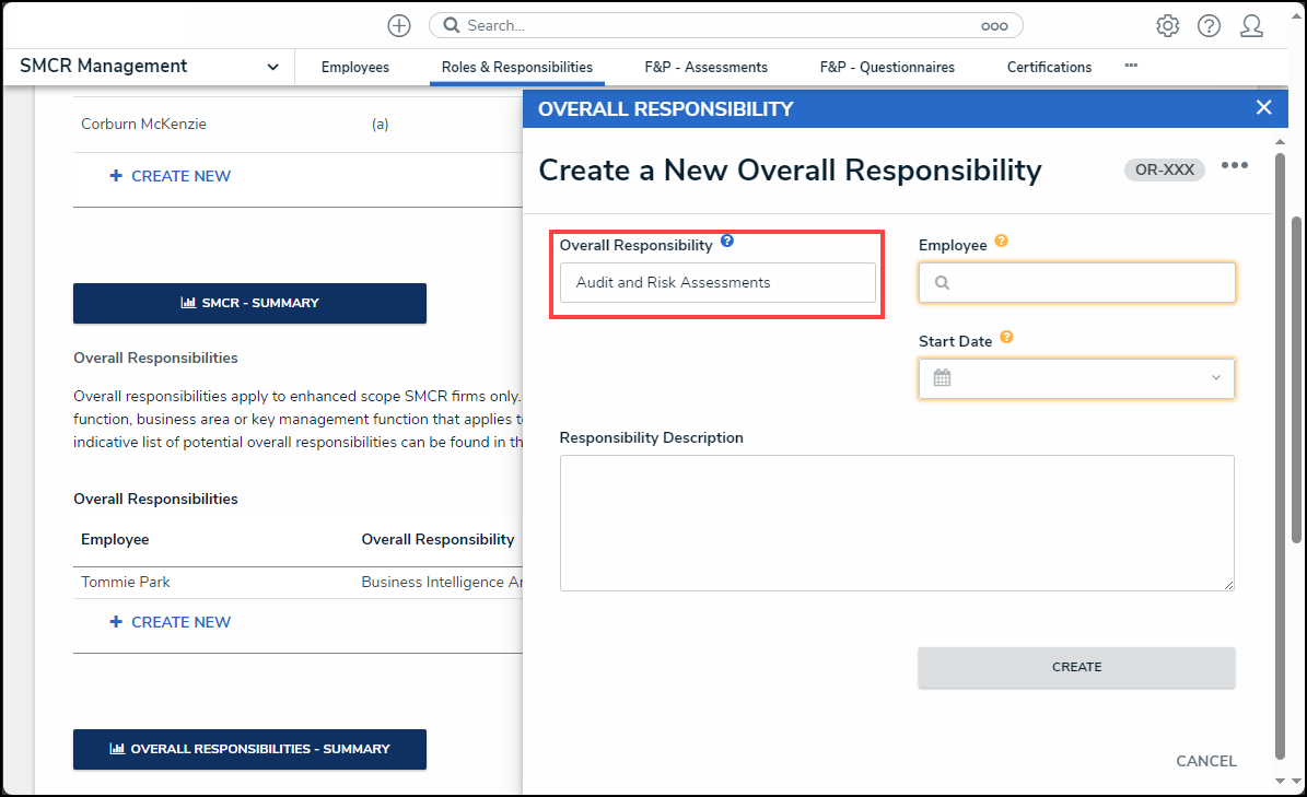 Overall Responsibilities field.png